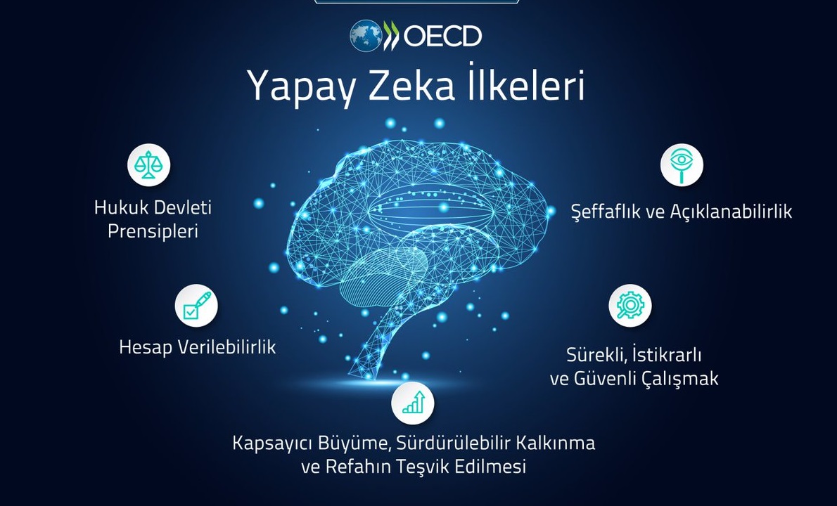 oecd yapay zeka